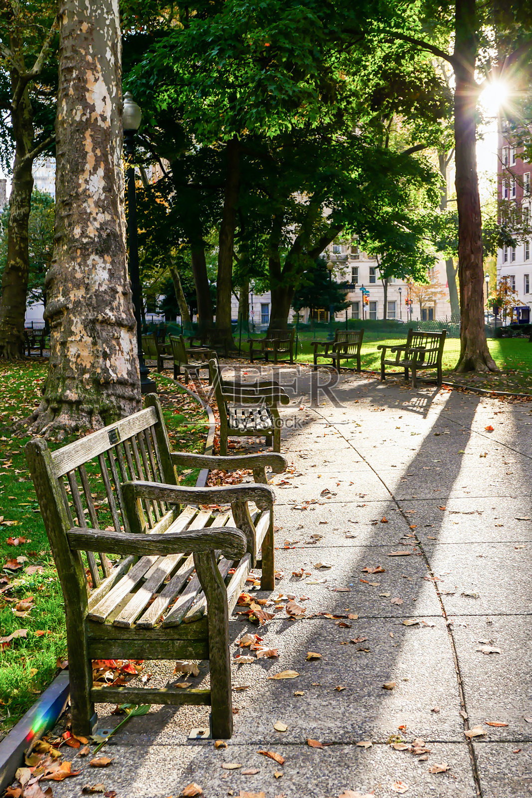 费城的里滕豪斯广场公园照片摄影图片