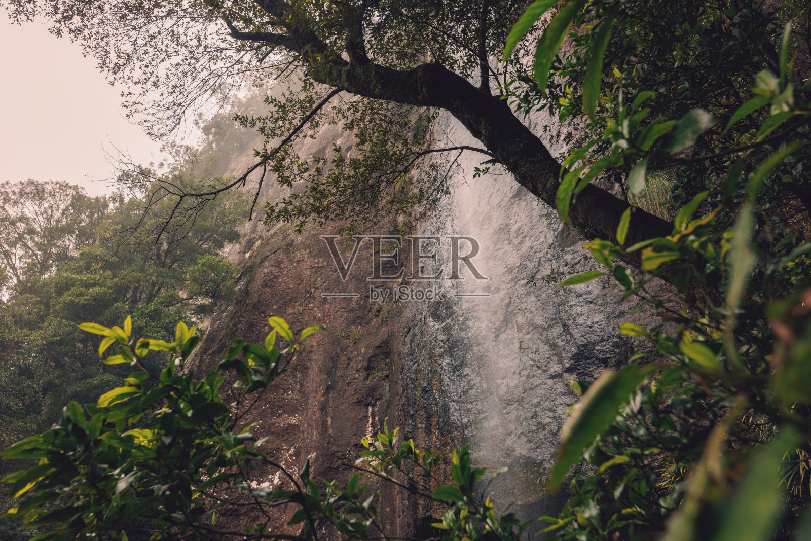 瀑布从悬崖上倾泻而下，进入郁郁葱葱的雨林。照片摄影图片