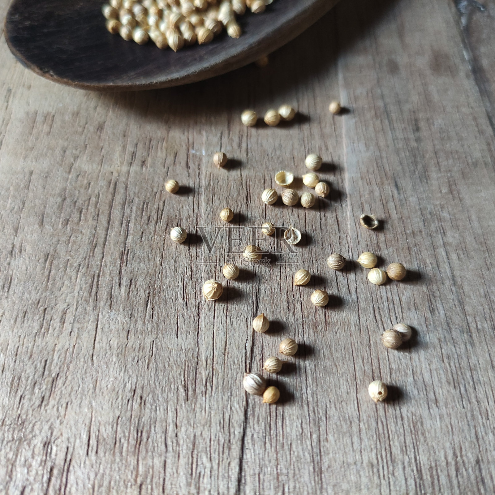 香菜种子照片摄影图片