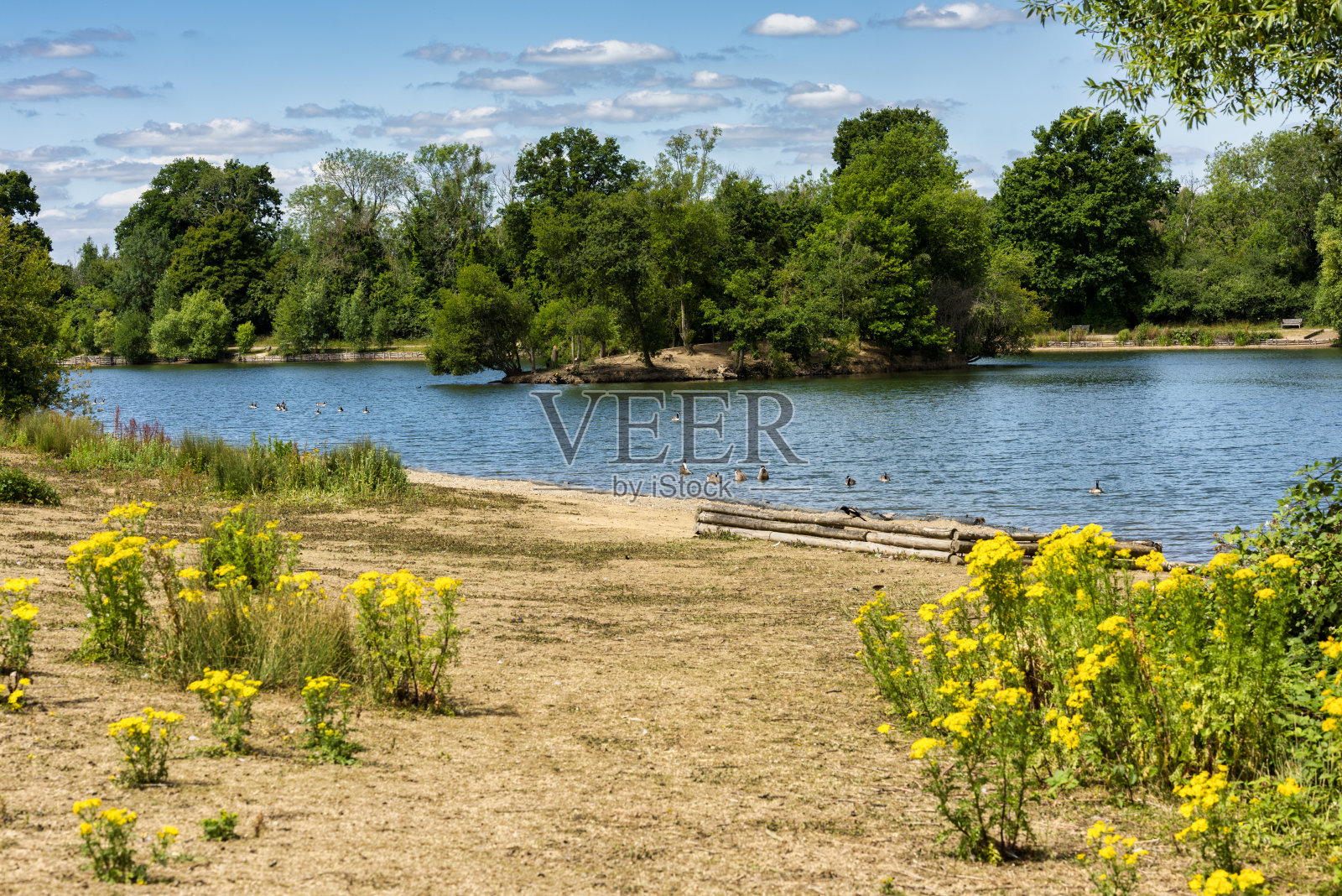 英国肯特郡汤布里奇海斯登公园的众多湖泊之一照片摄影图片