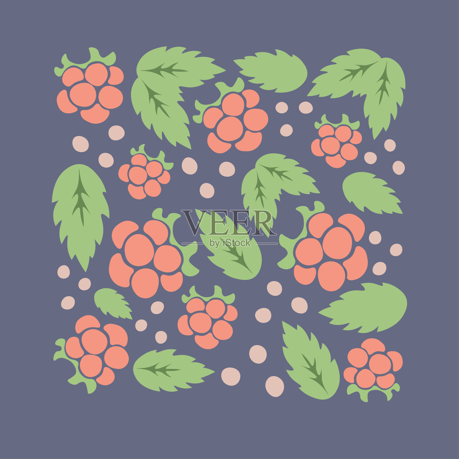 覆盆子紫方卡插画图片素材