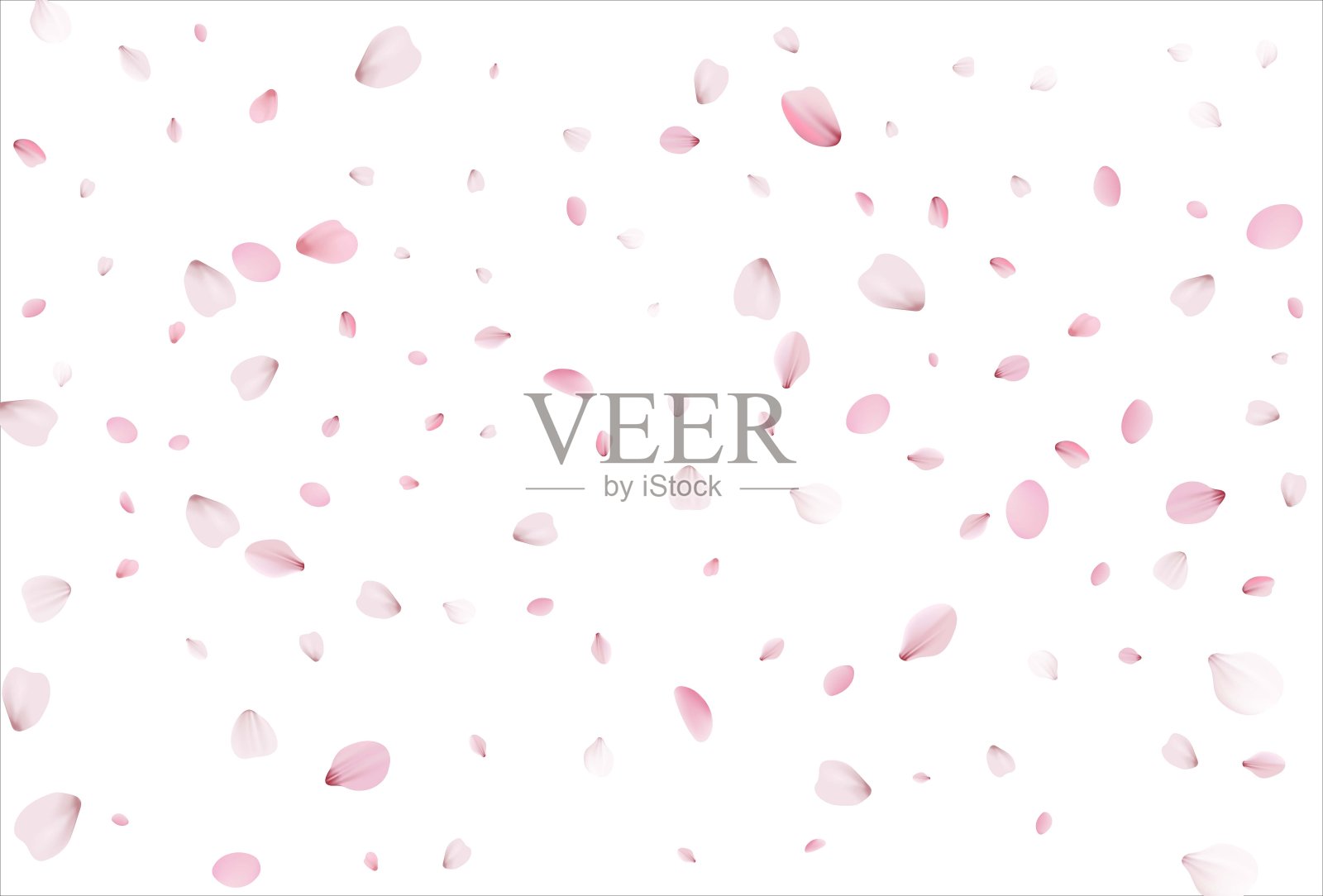 樱花花瓣背景。樱桃花瓣背景插画图片素材