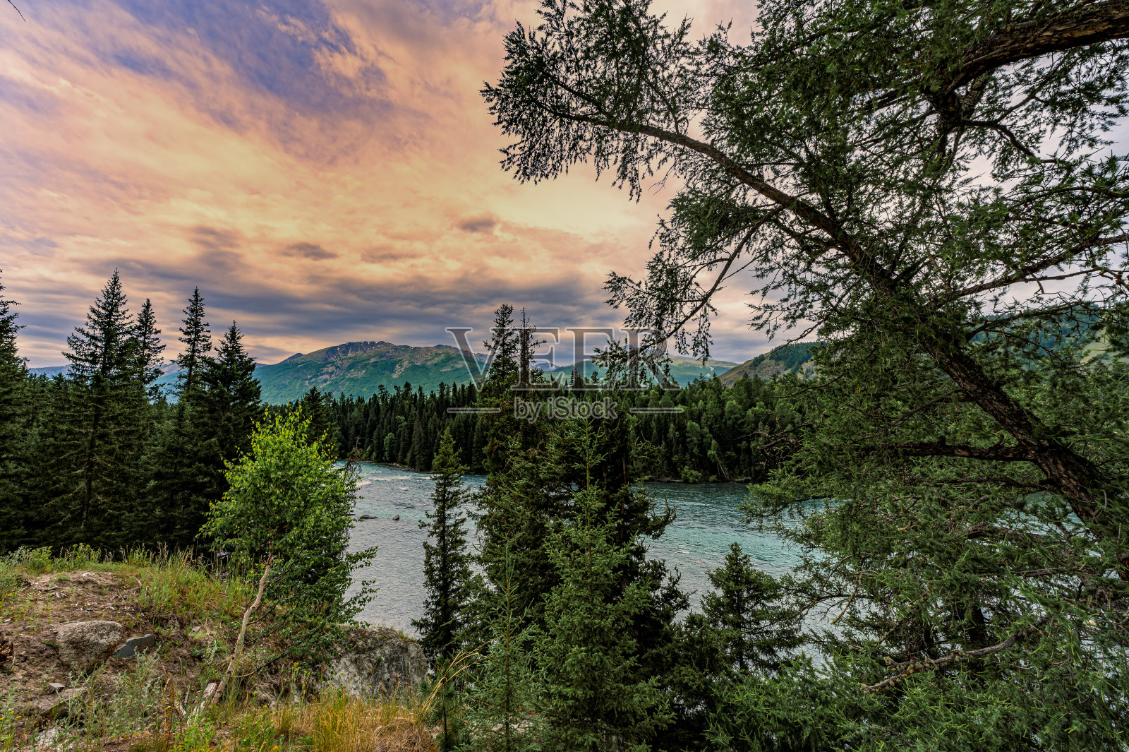中国新疆喀纳斯风景名胜区照片摄影图片