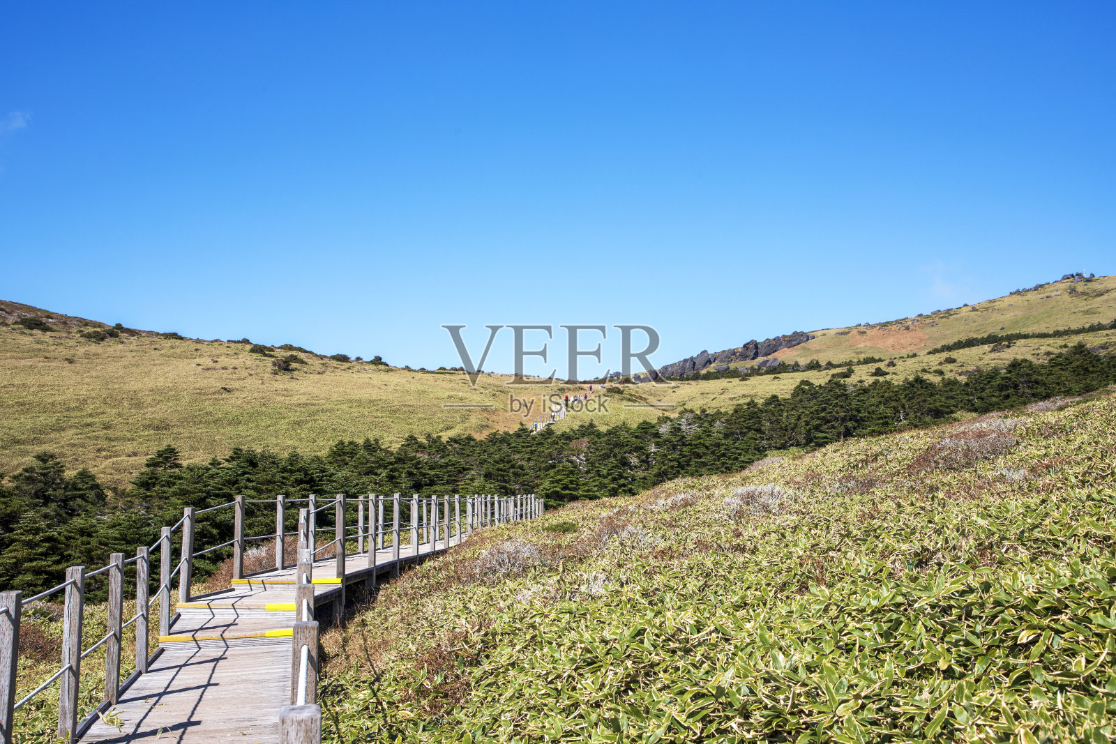 济州岛汉拿山照片摄影图片