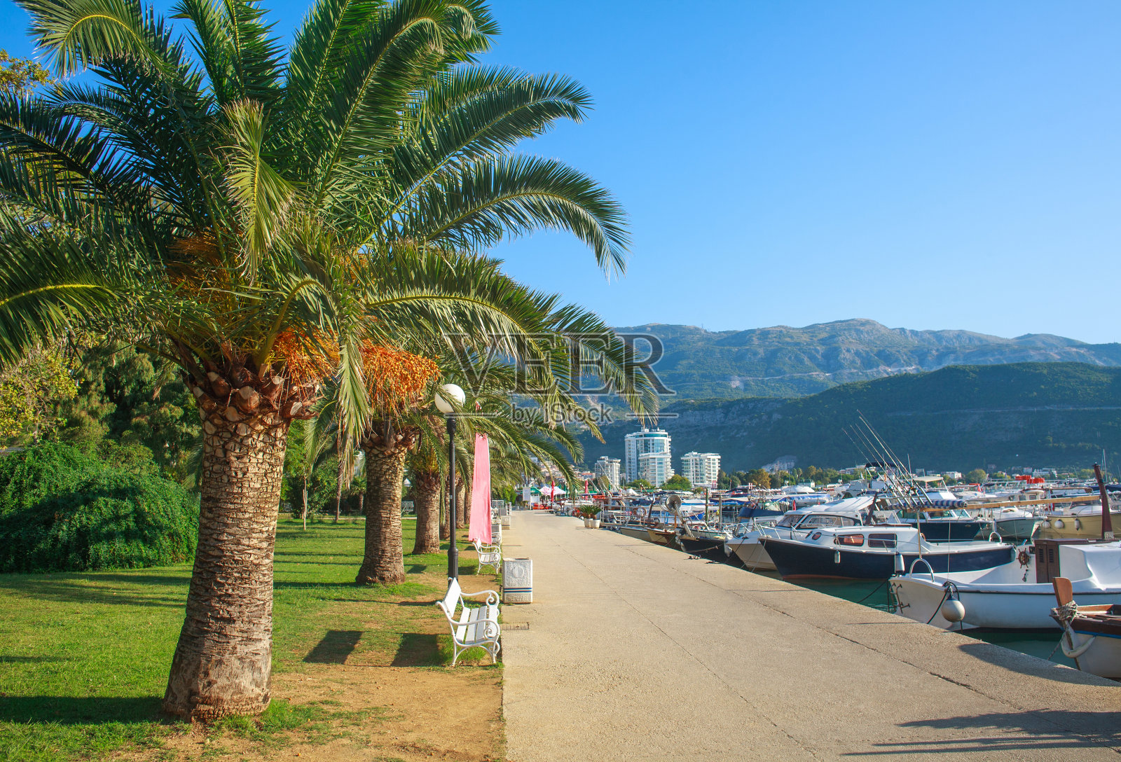 在阳光明媚的夏日，布达瓦，黑山的海边海岸街道港口照片摄影图片