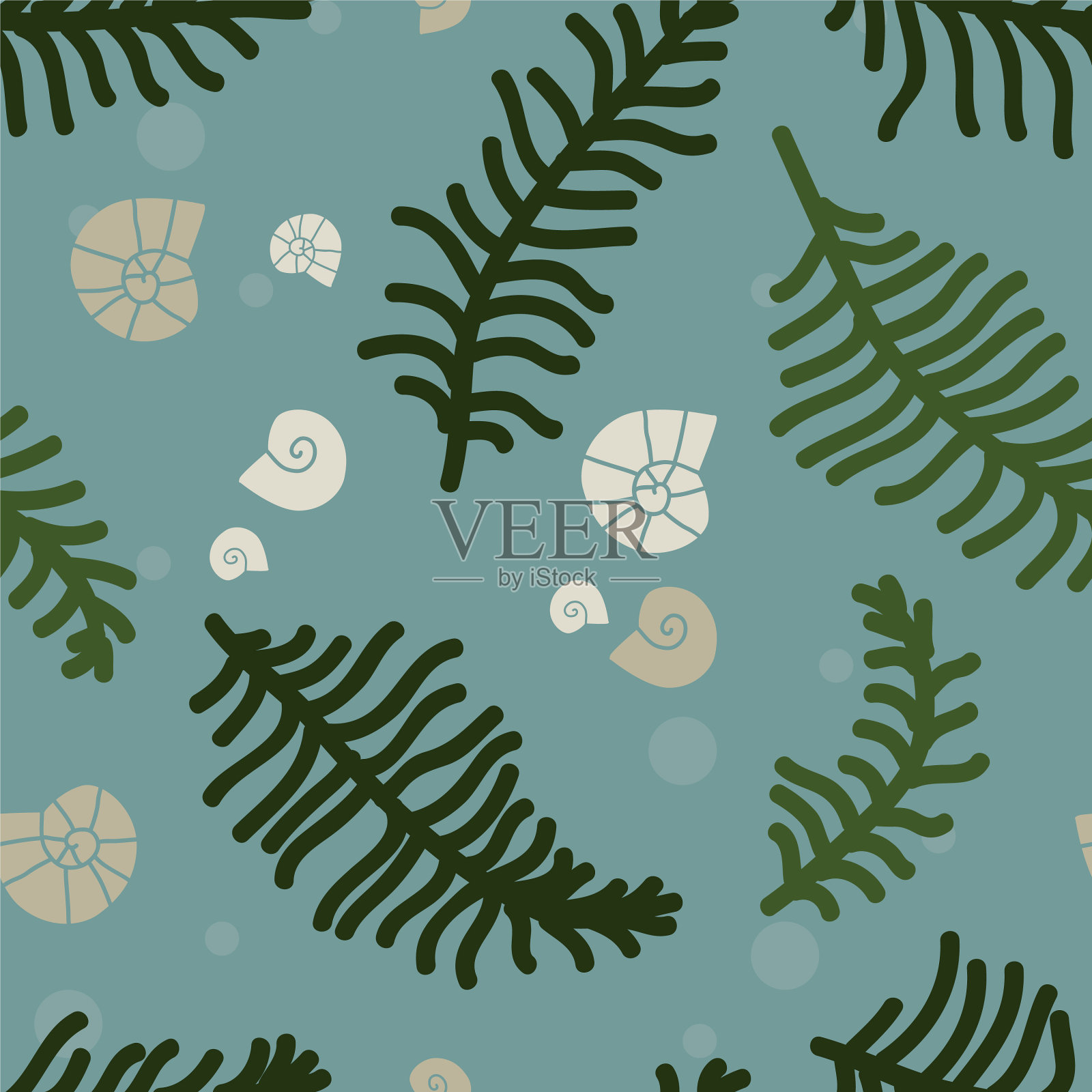 海蕨和螺螺插画图片素材