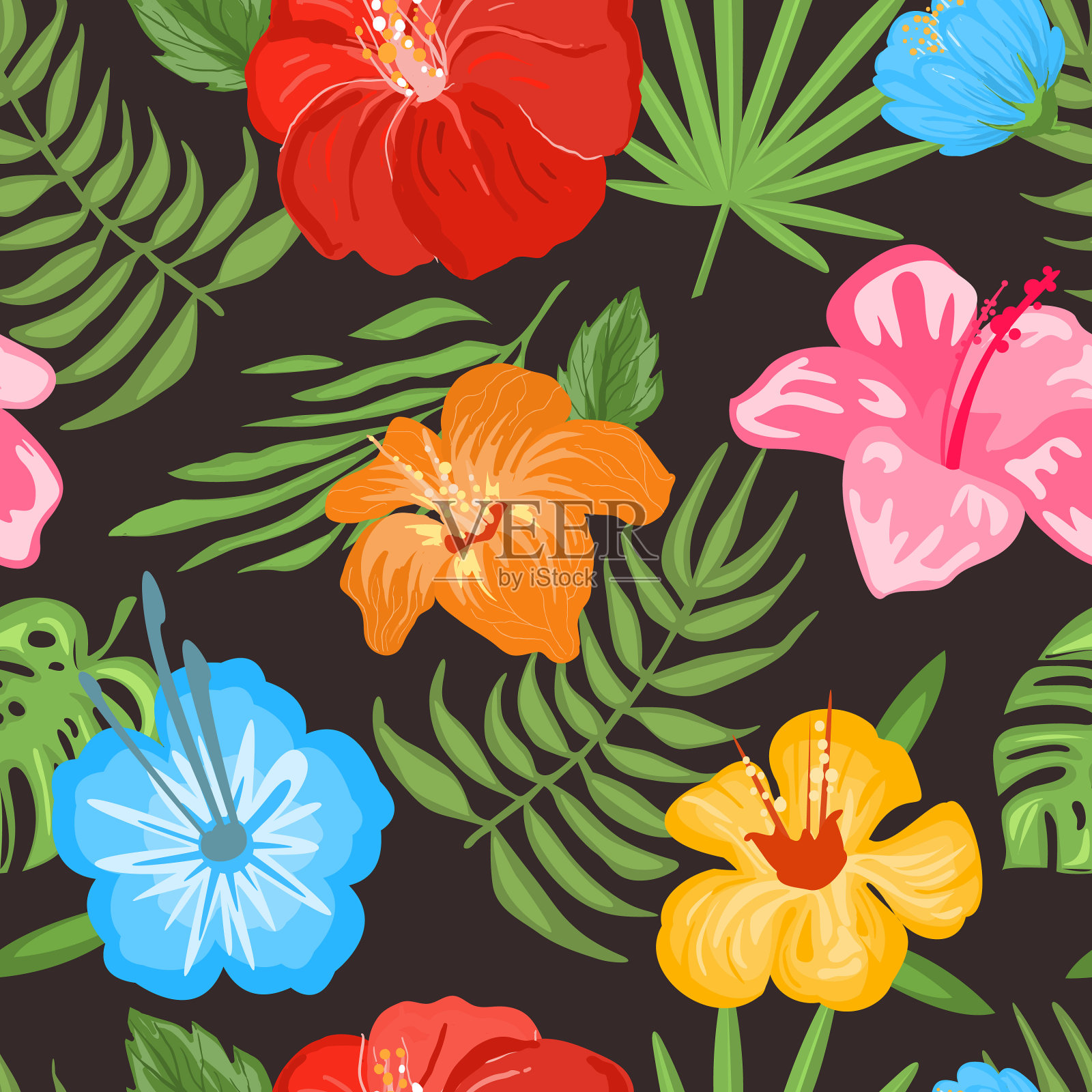 热带花卉和叶子设计与蕨类和插画图片素材