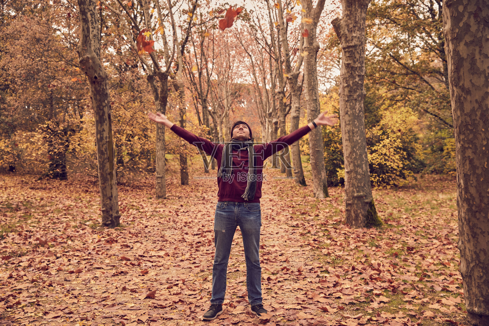 年轻的白人男性抬头看，在树林走廊里扔树叶。秋天的颜色照片摄影图片