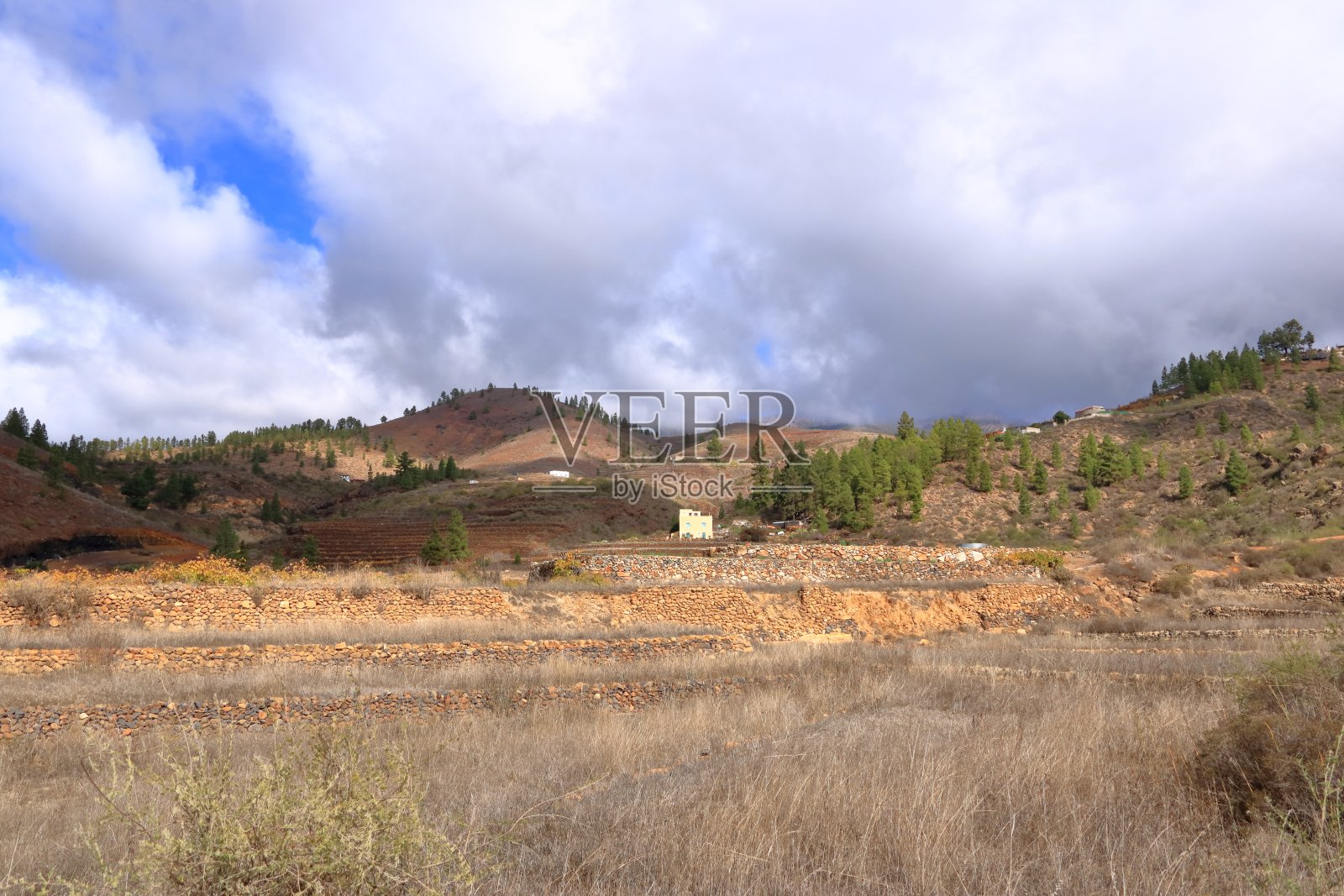 在特内里费，加那利群岛的农业土地的农村观点，西班牙照片摄影图片