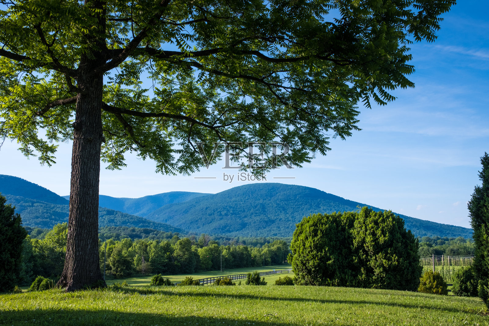 蓝色山脊山脉与树和绿色的领域在前景照片摄影图片