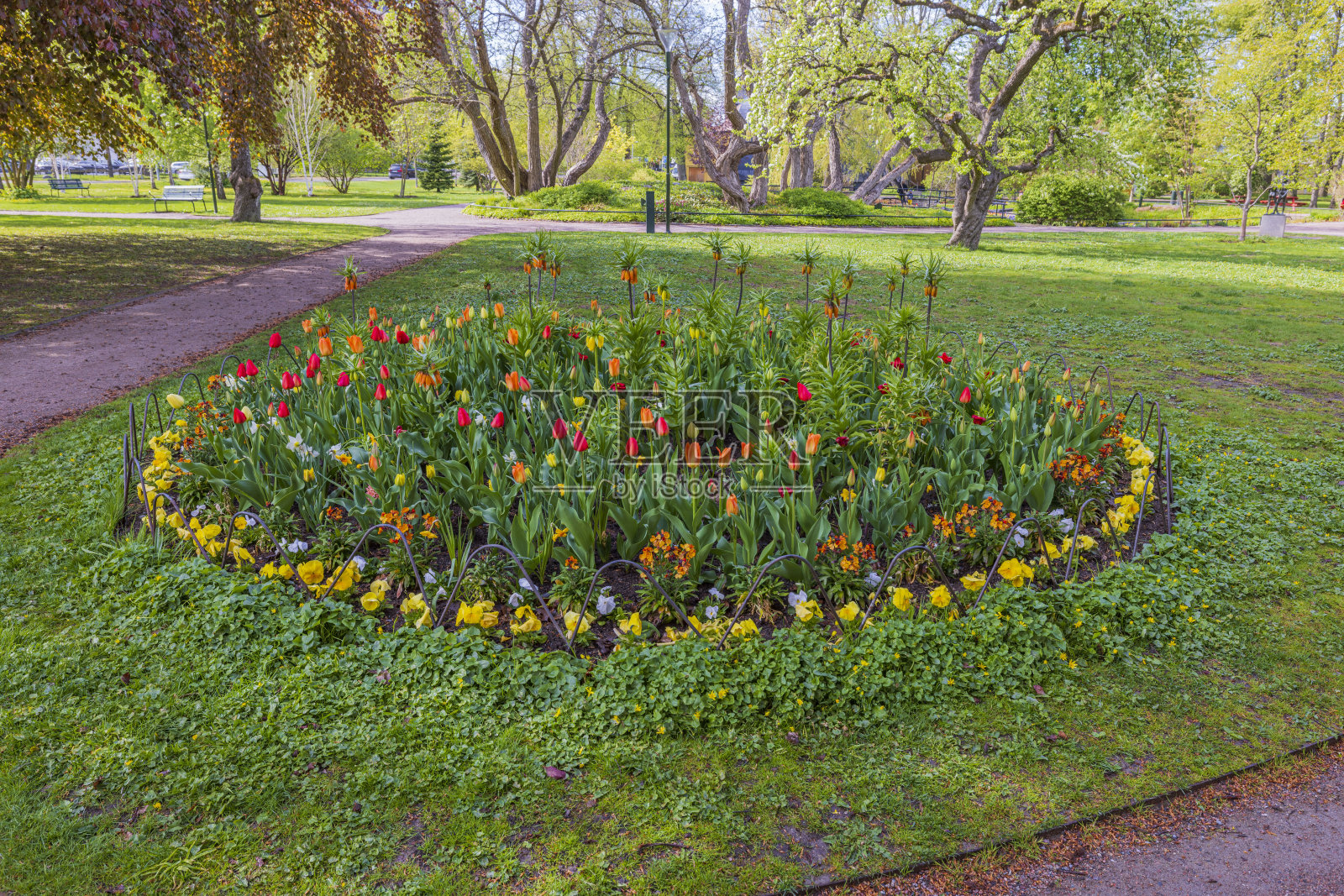美丽的风景美丽的彩色花坛在绿色的草坪背景在公园。瑞典。照片摄影图片