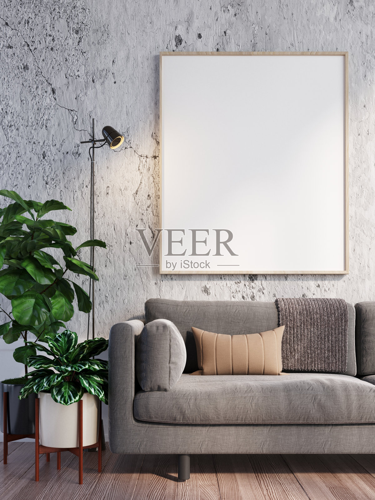 客厅内部的相框照片摄影图片