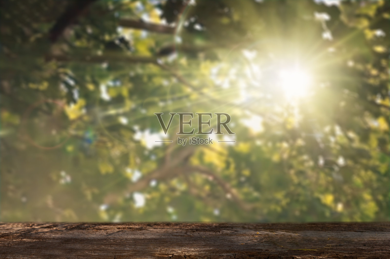 棕色的木材顶部在夏季绿色景观与空的复制空间在桌子上的产品展示模型。照片摄影图片