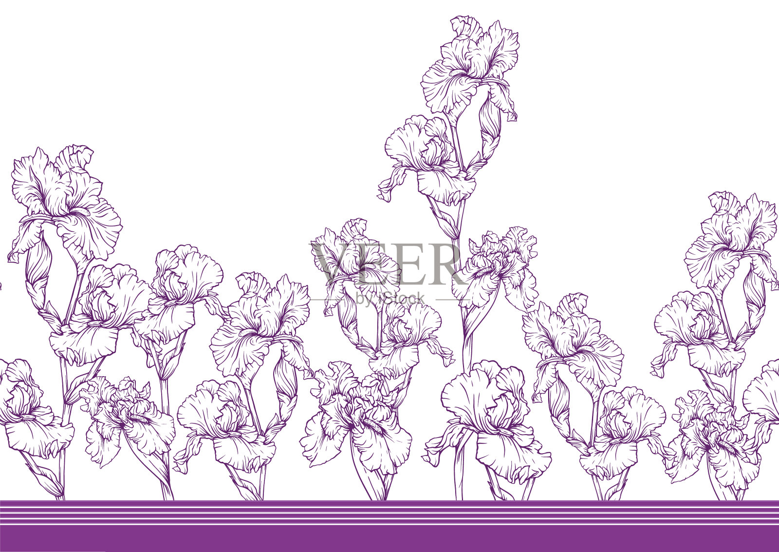 无缝图案与鸢尾花紫色和插画图片素材