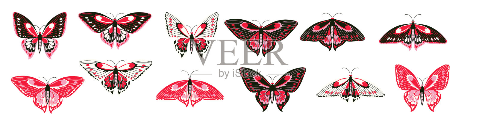 一套热带蝴蝶在最小的风格插画图片素材