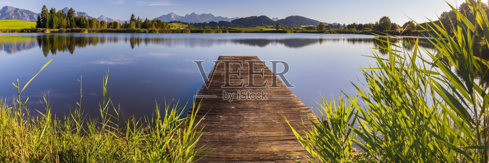 美丽的全景，草地和树木照片摄影图片