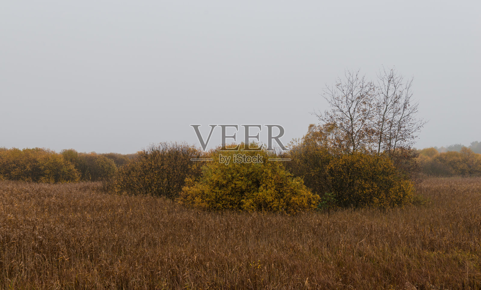 秋天的风景照片摄影图片