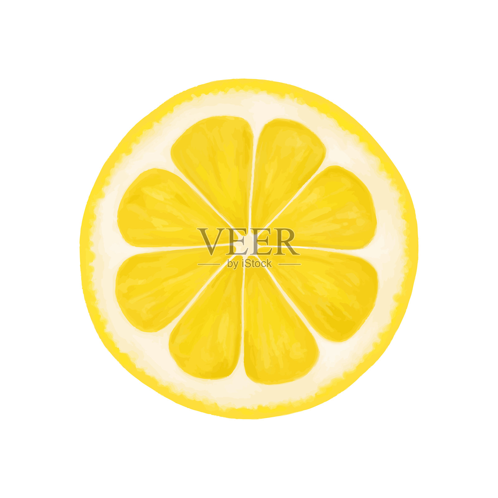 柠檬圆片逼真插画图片素材