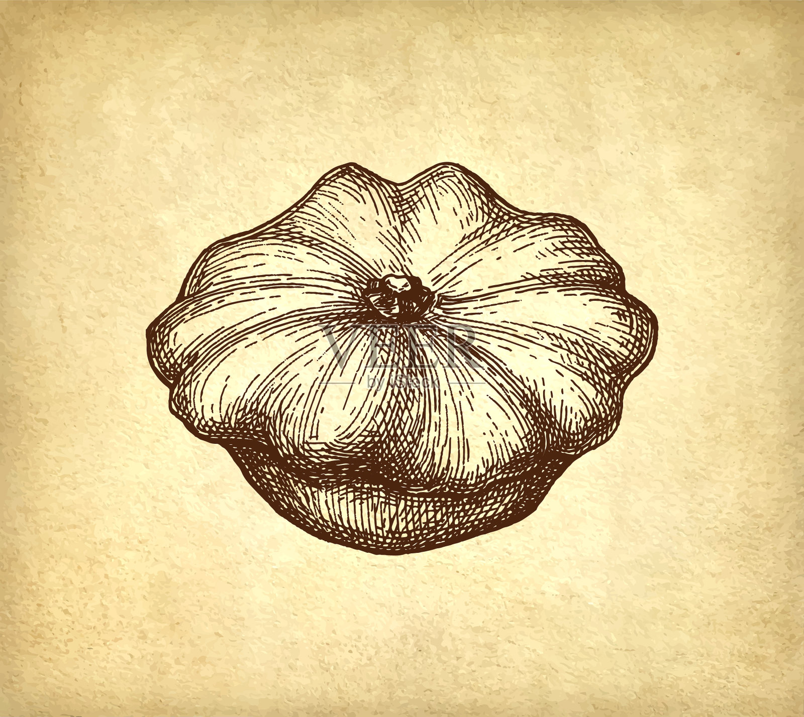 西葫芦水墨写真插画图片素材