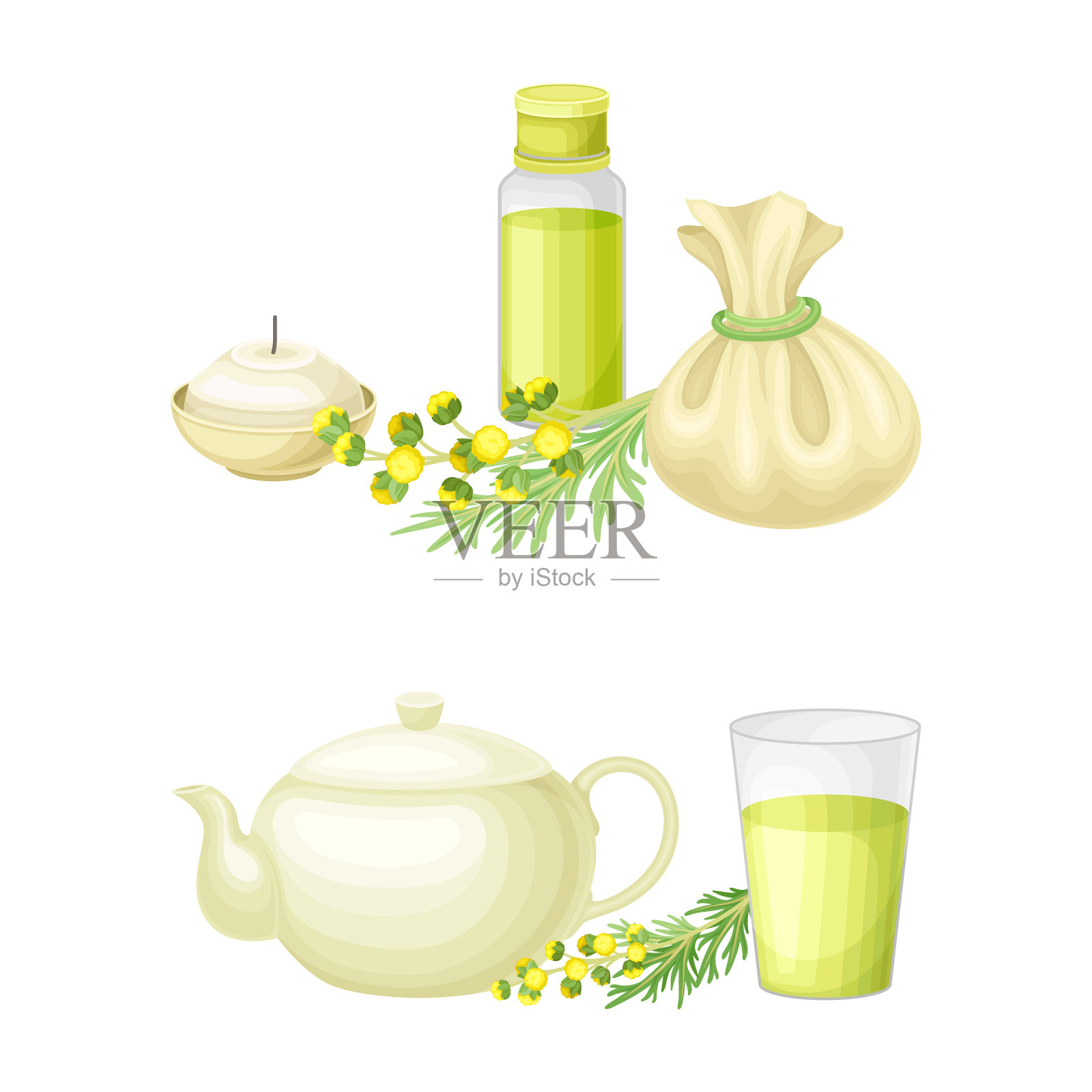 蒙古蒿开花草本插画图片素材