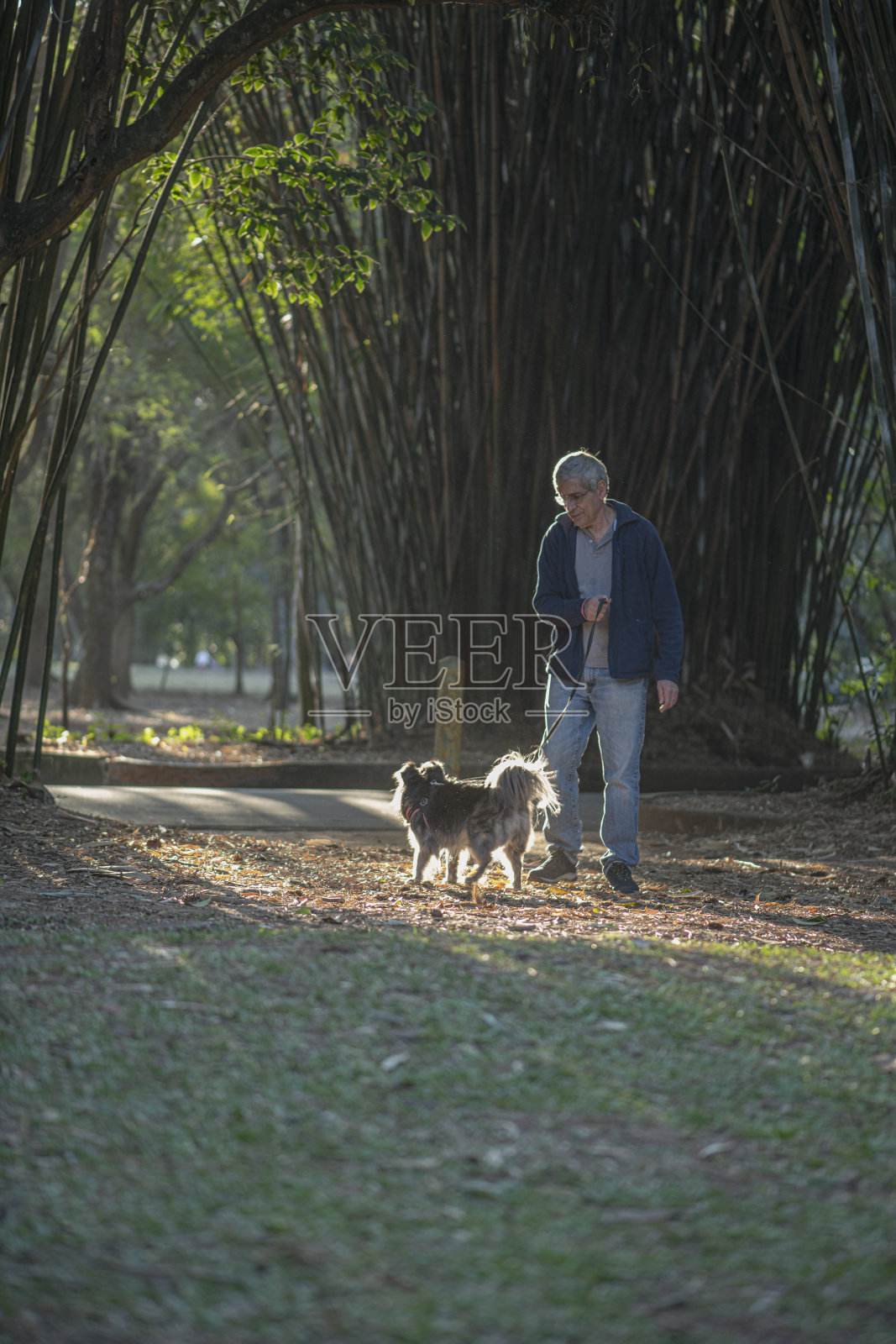 朋友。照片摄影图片