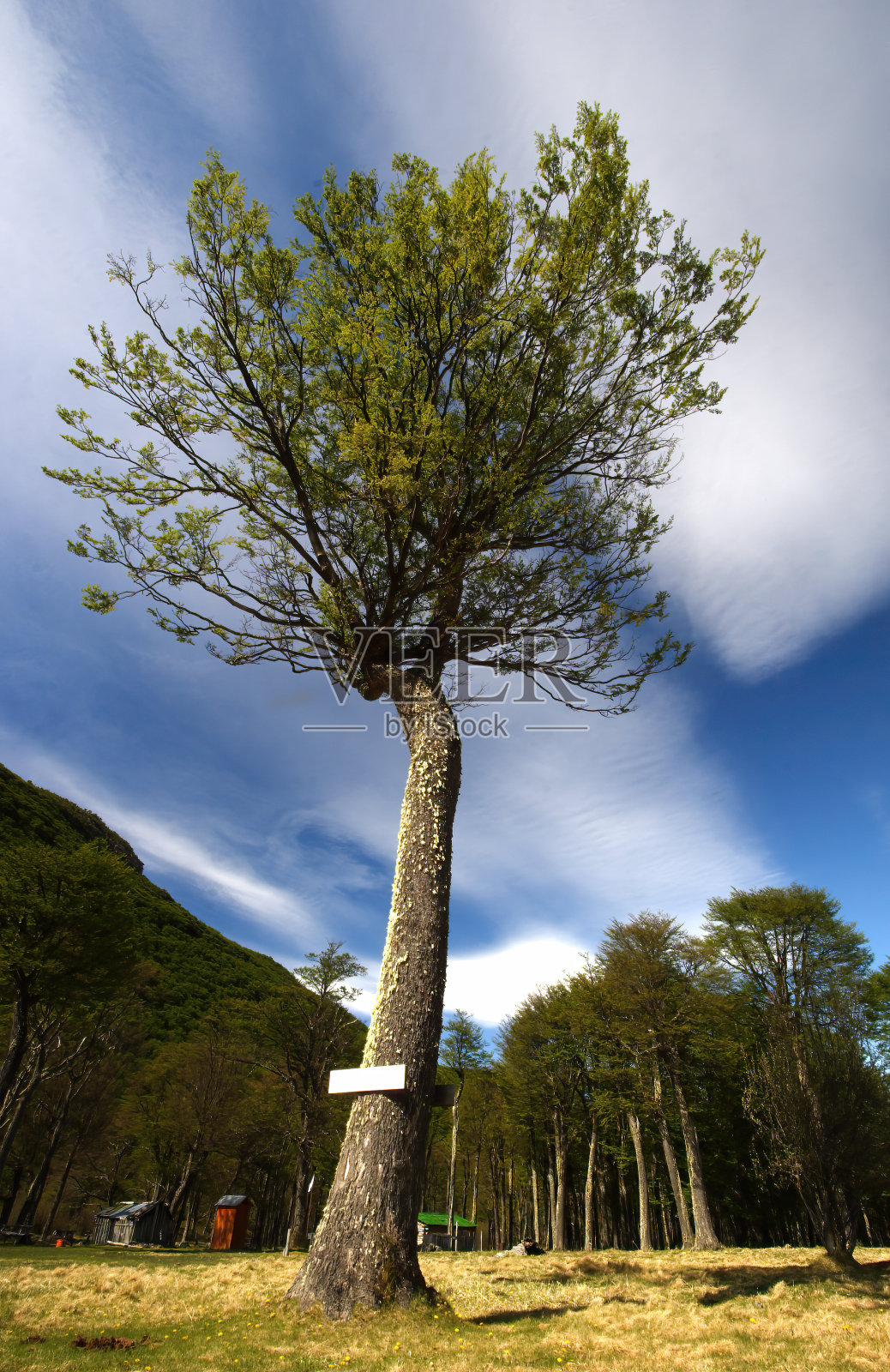 阿根廷El Chalten的风景照片摄影图片
