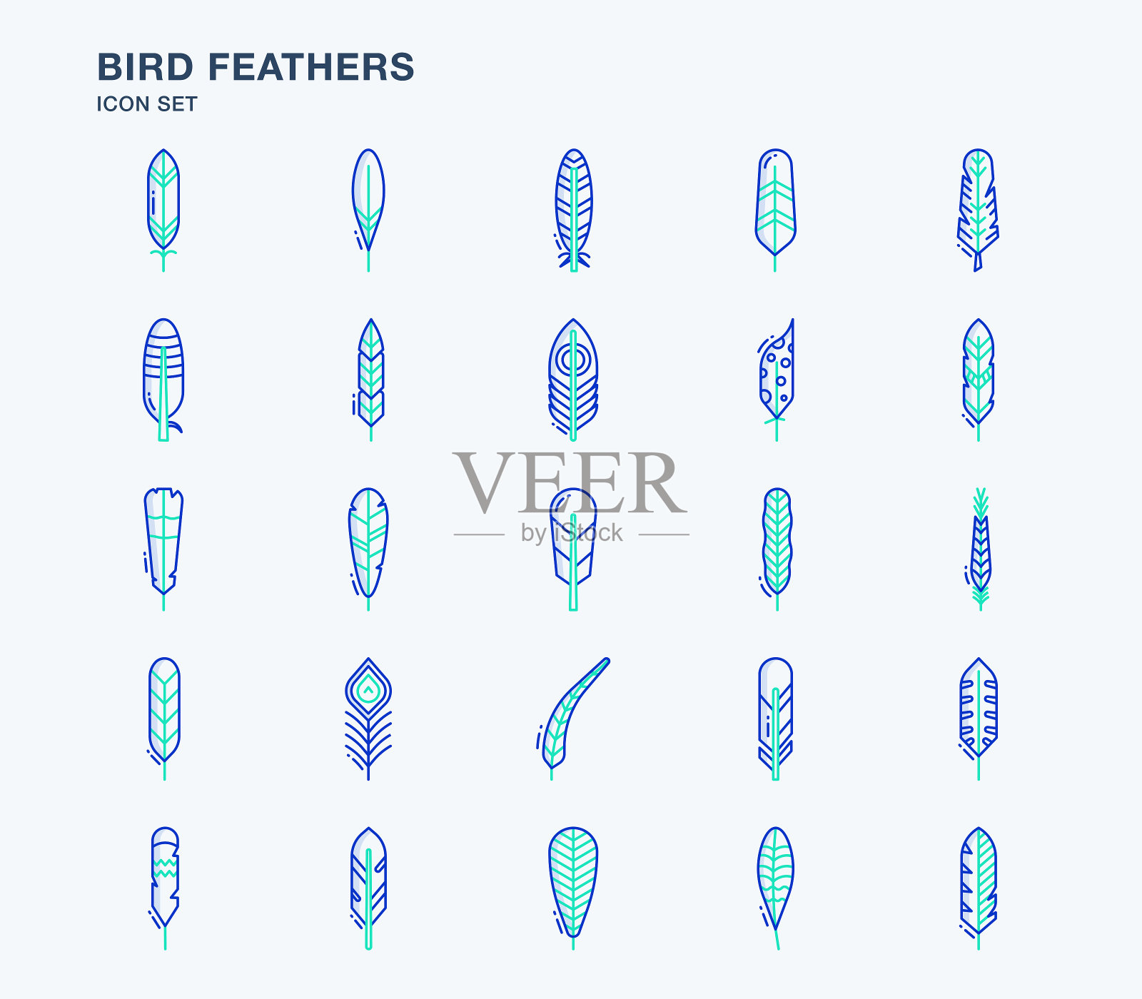 鸟羽毛轮廓彩色图标设置插画图片素材
