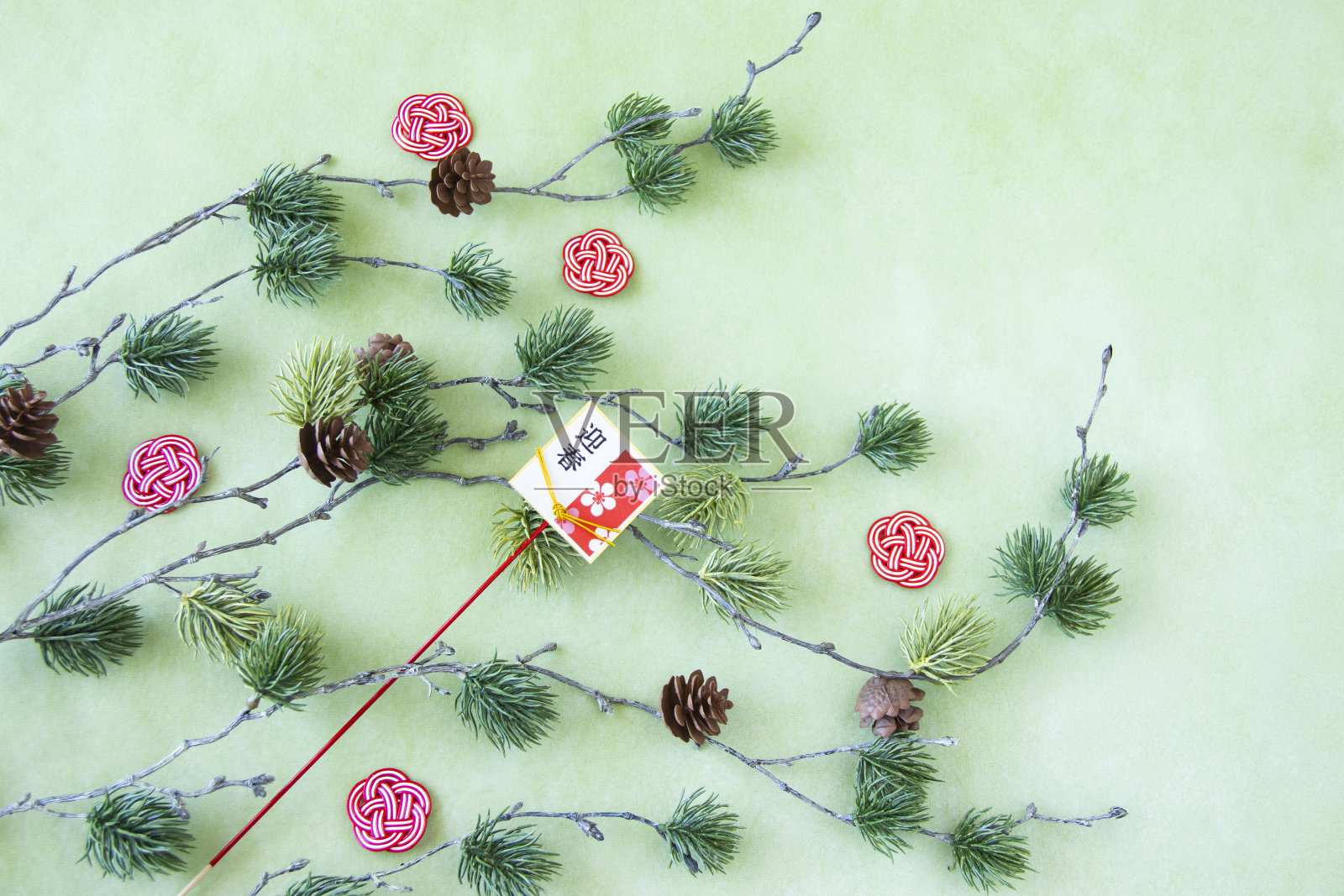 日本新年图片----松树和水杉照片摄影图片