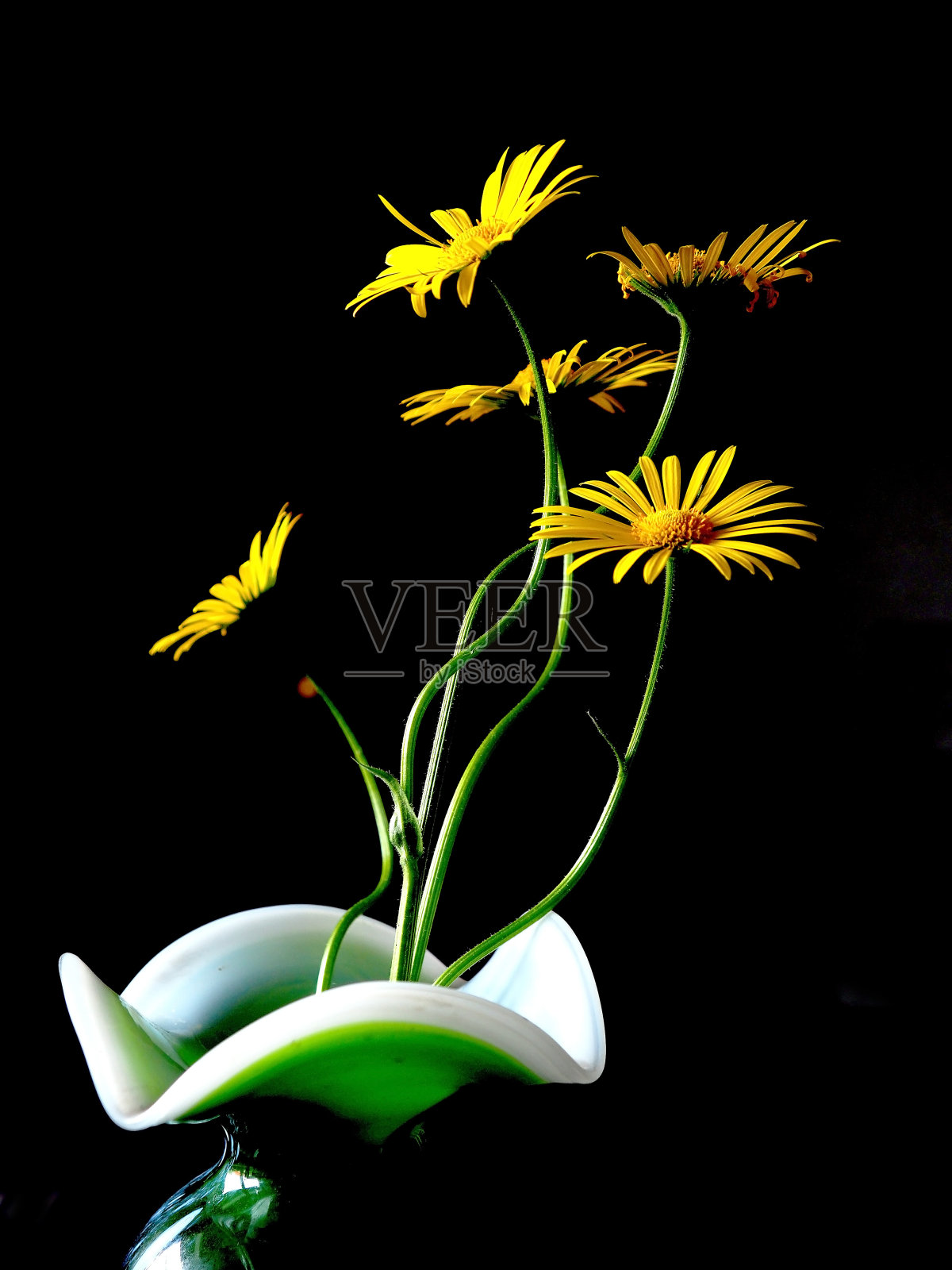 桌上的花瓶里装着黄色的日花照片摄影图片