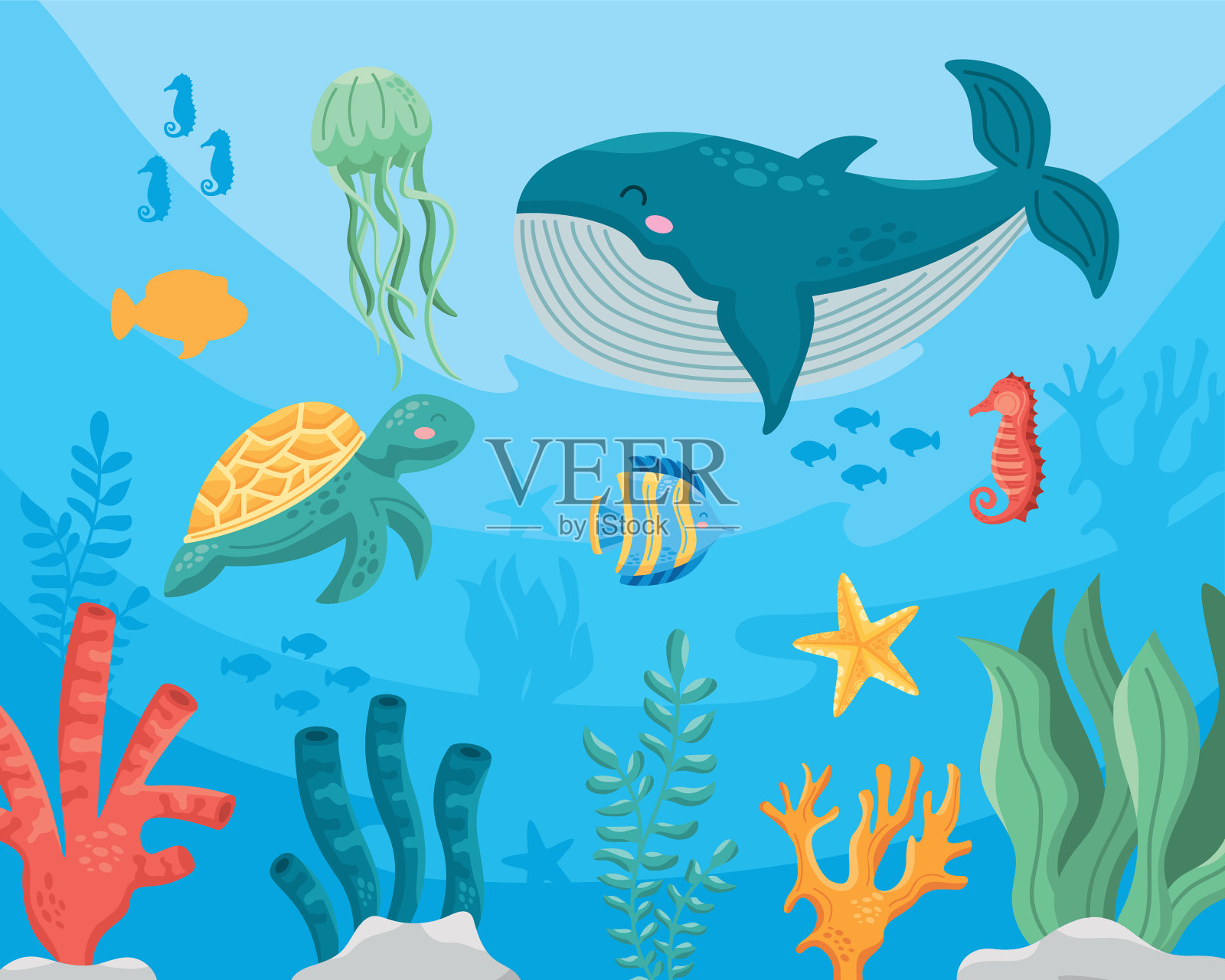 动物还有水下插画图片素材