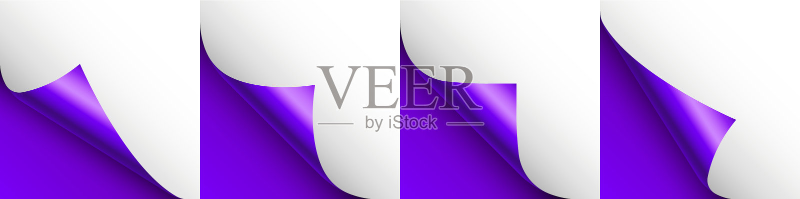 一套紫罗兰卷纸卷卷页角用插画图片素材