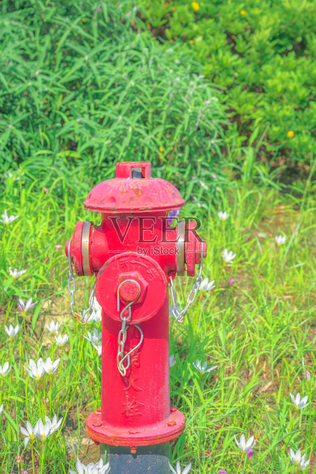 消防栓照片摄影图片