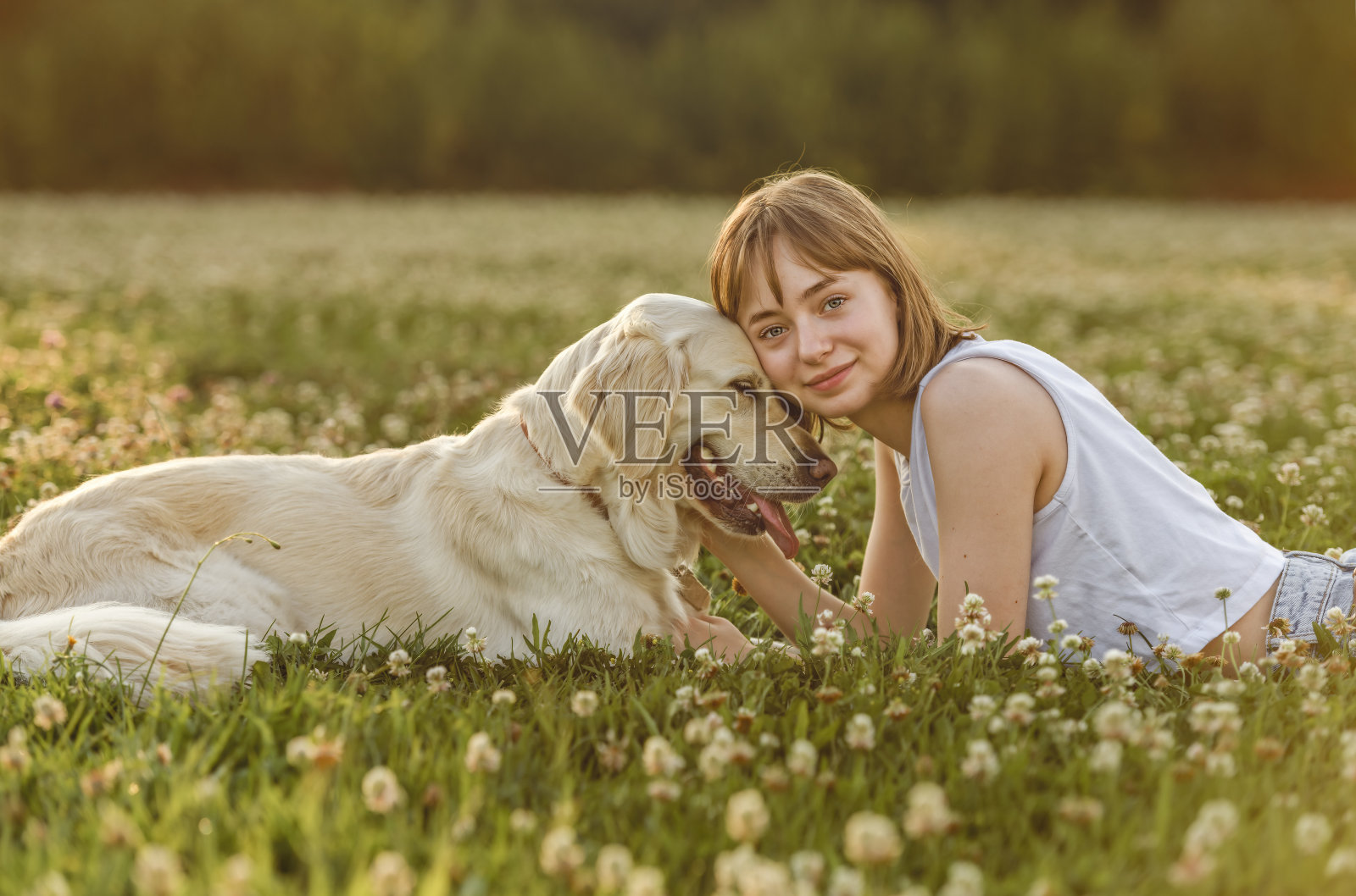 少女在夕阳下抚摸金毛猎犬的肖像照片摄影图片