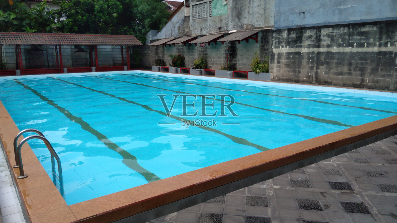 游泳池照片摄影图片