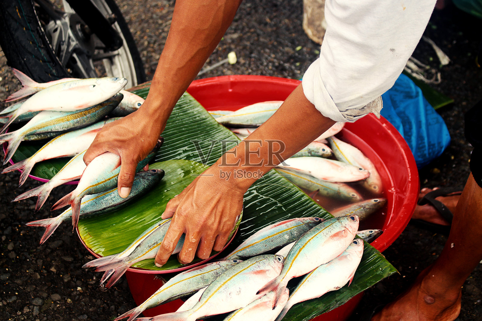 正在出售新鲜的鱼照片摄影图片