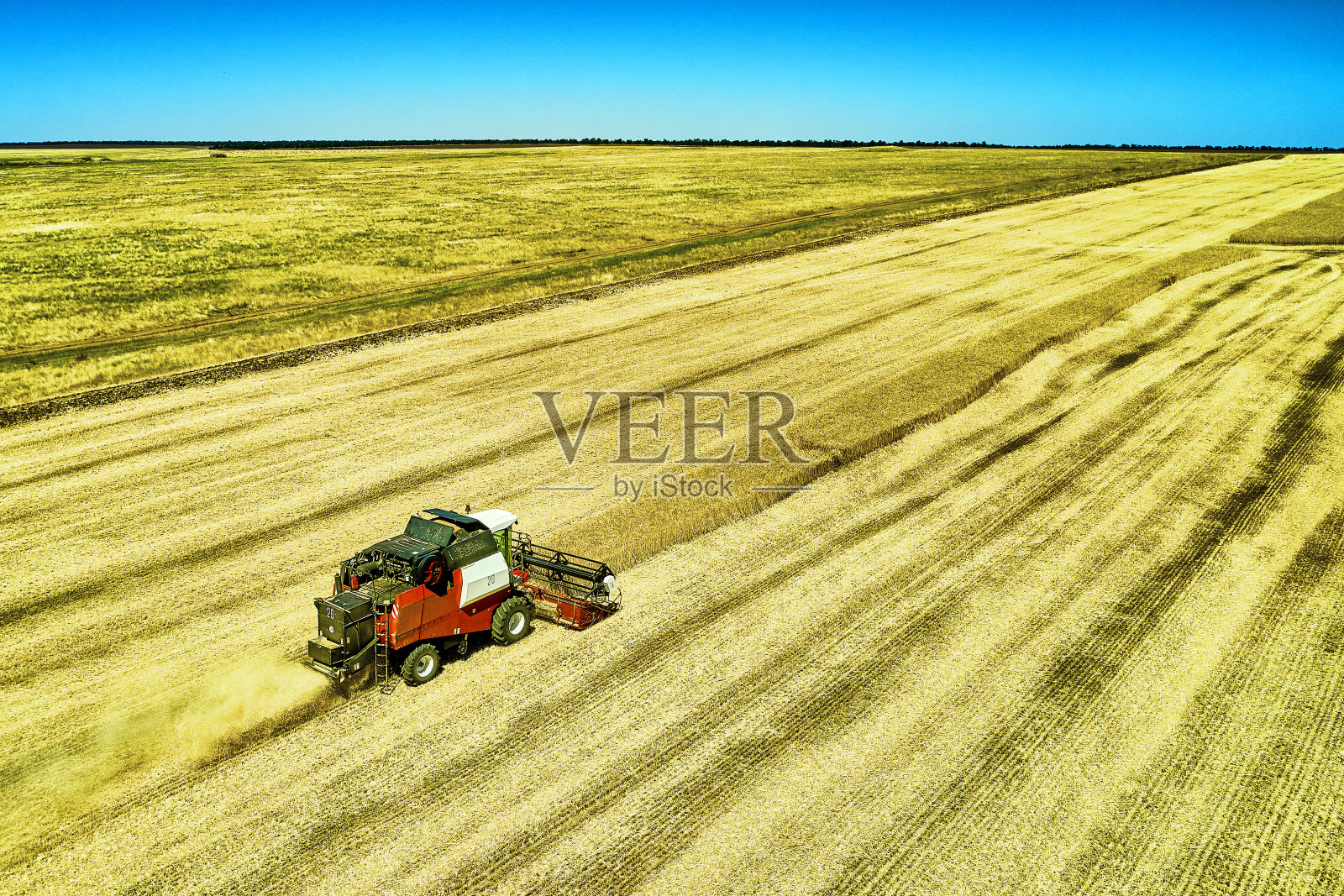 一辆联合收割机在蓝天下收获一片麦田照片摄影图片