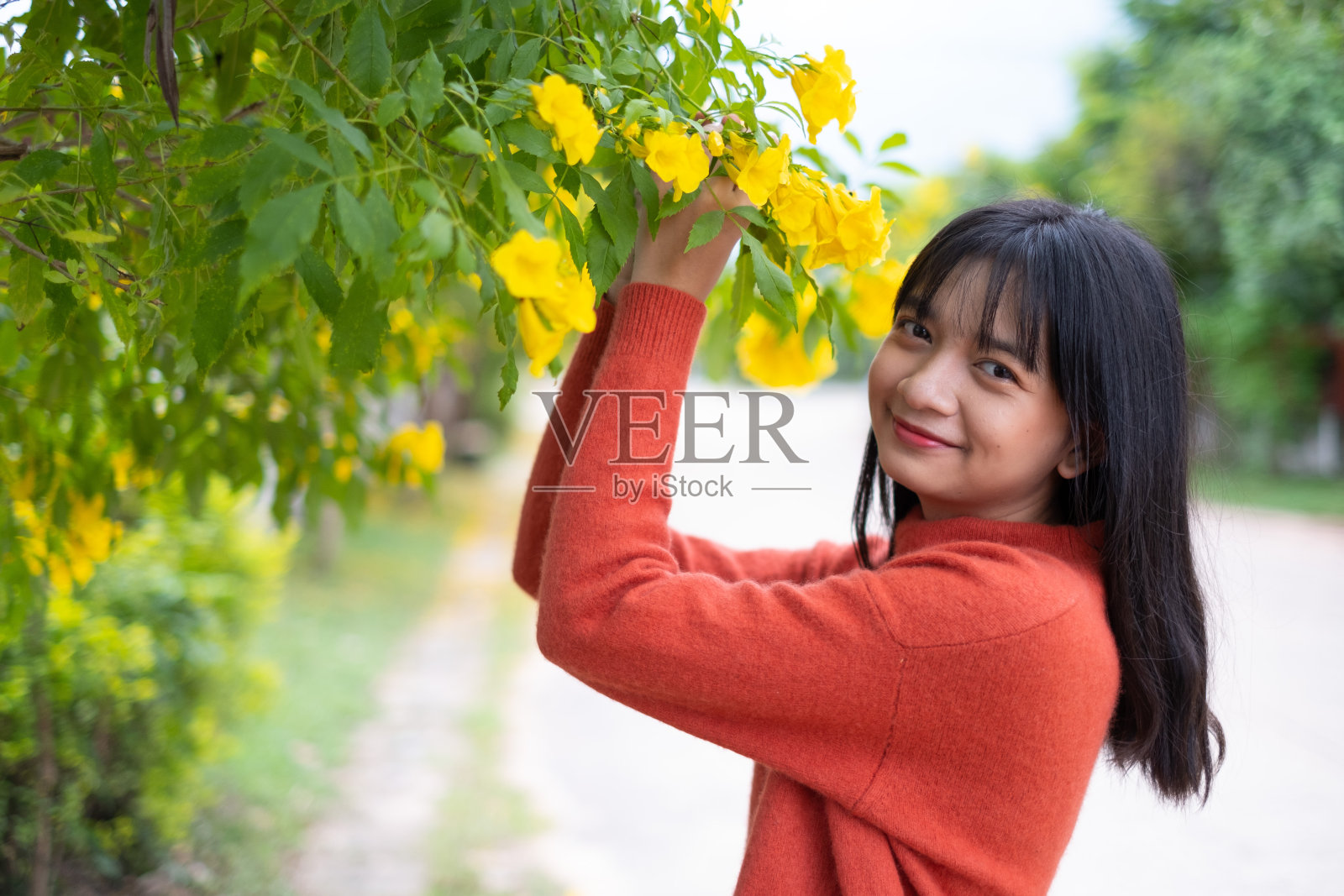 黄花少女肖像，亚洲少女。照片摄影图片