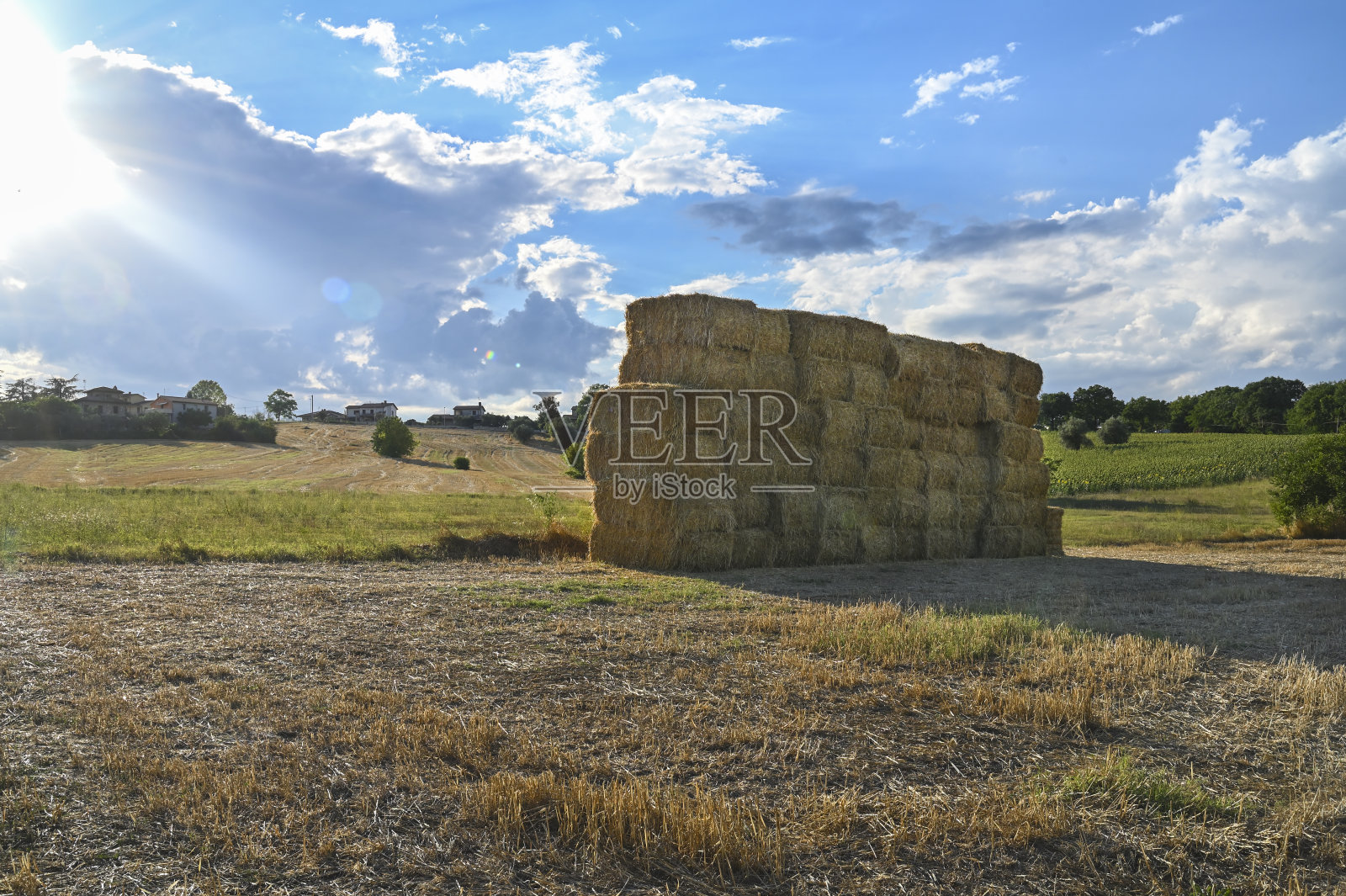 稻草球照片摄影图片