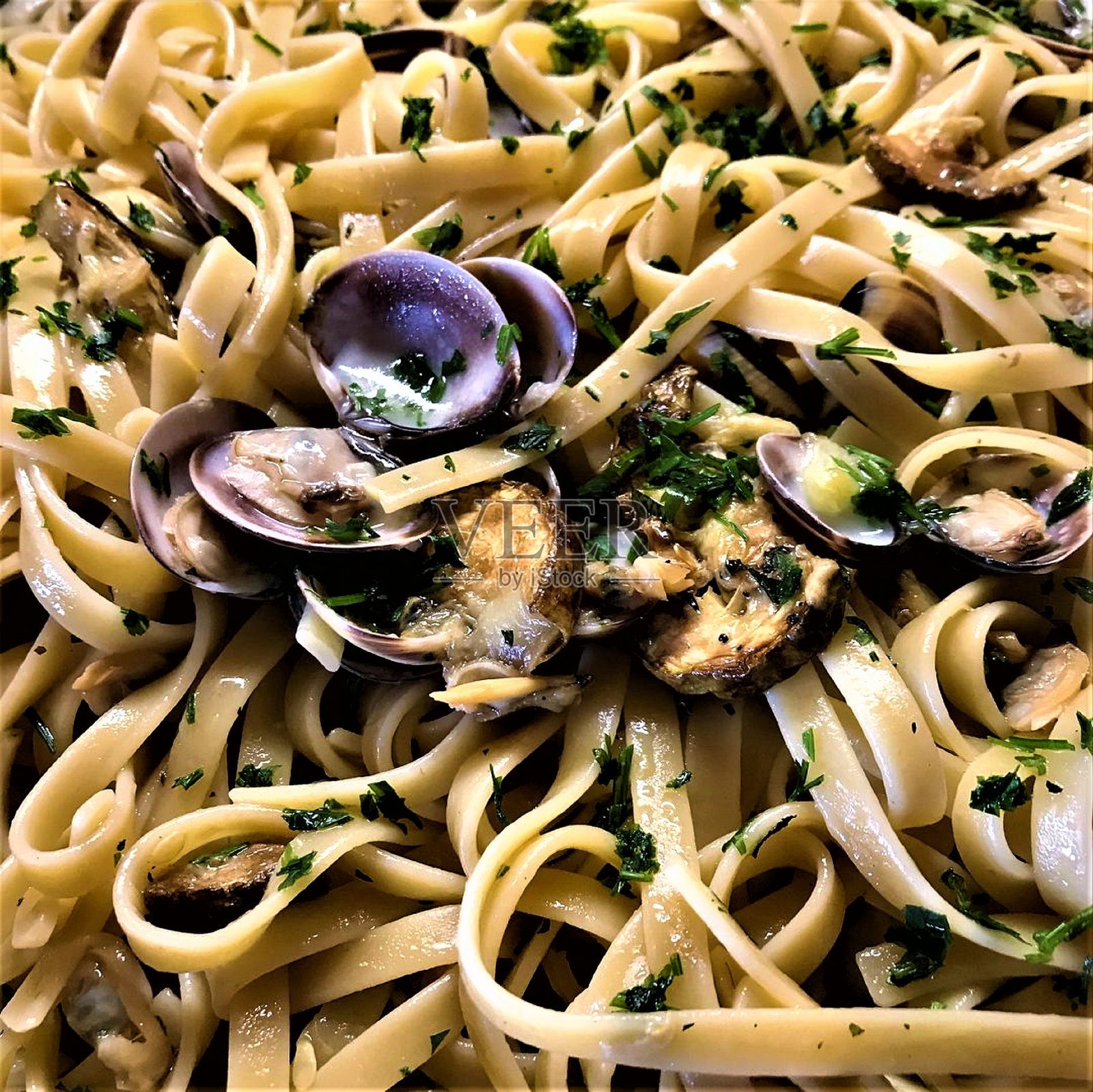 蛤蚌和绿皮南瓜照片摄影图片