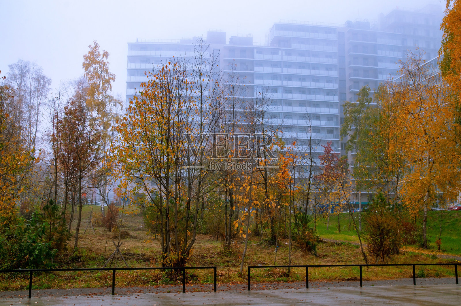 雾天的秋景照片摄影图片