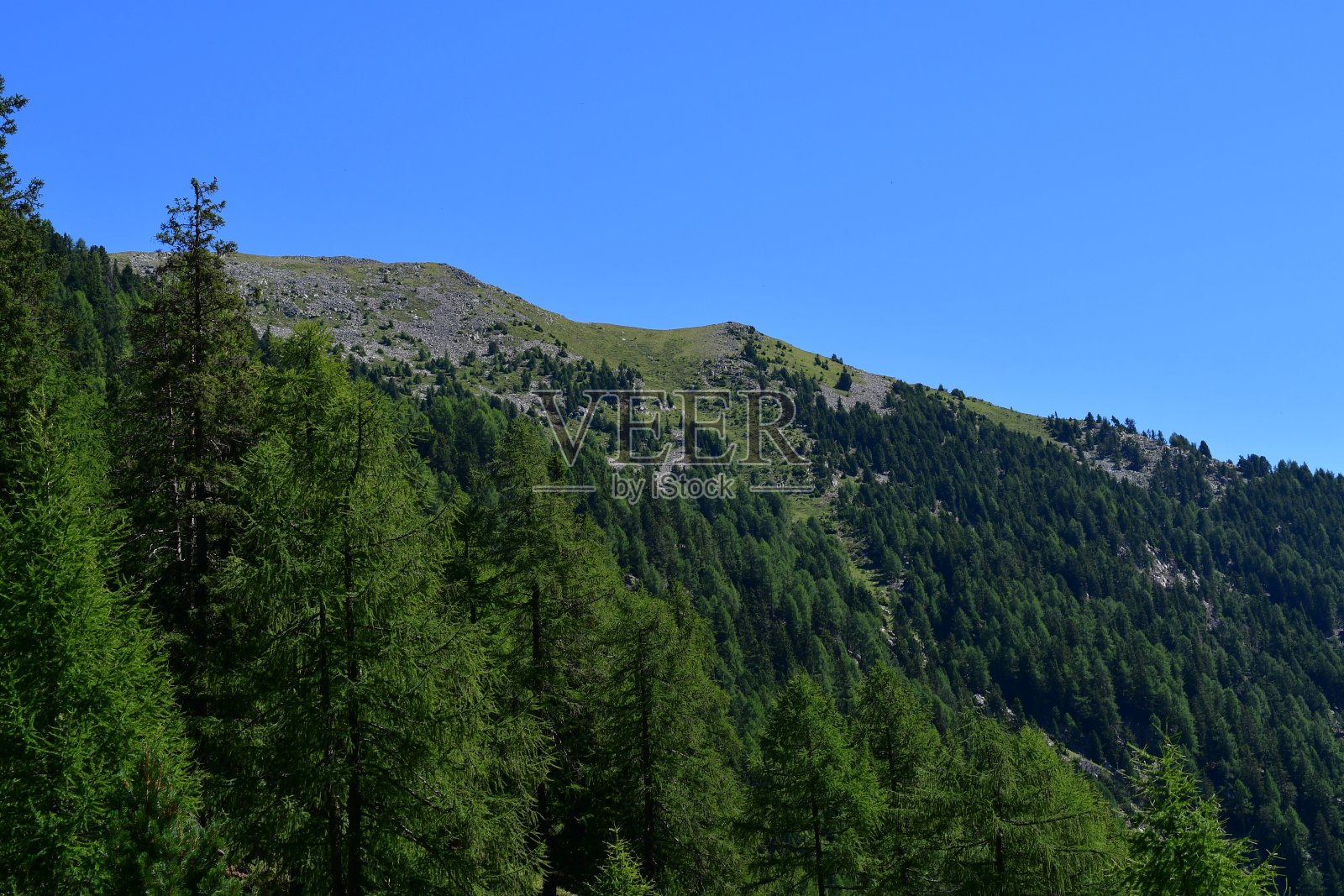 南蒂罗尔的奥尔滕山谷山川秀丽照片摄影图片
