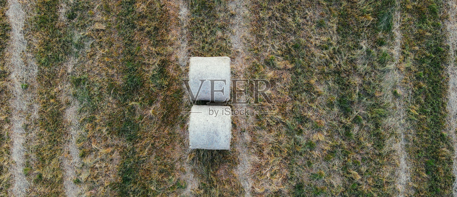 一堆干草成熟的谷物田俯视图或无人机拍摄。收获时期旗帜。小麦、黑麦、大麦、小米穗子的鸟瞰图。农业的概念。由于干旱毁坏了收成。饥饿照片摄影图片