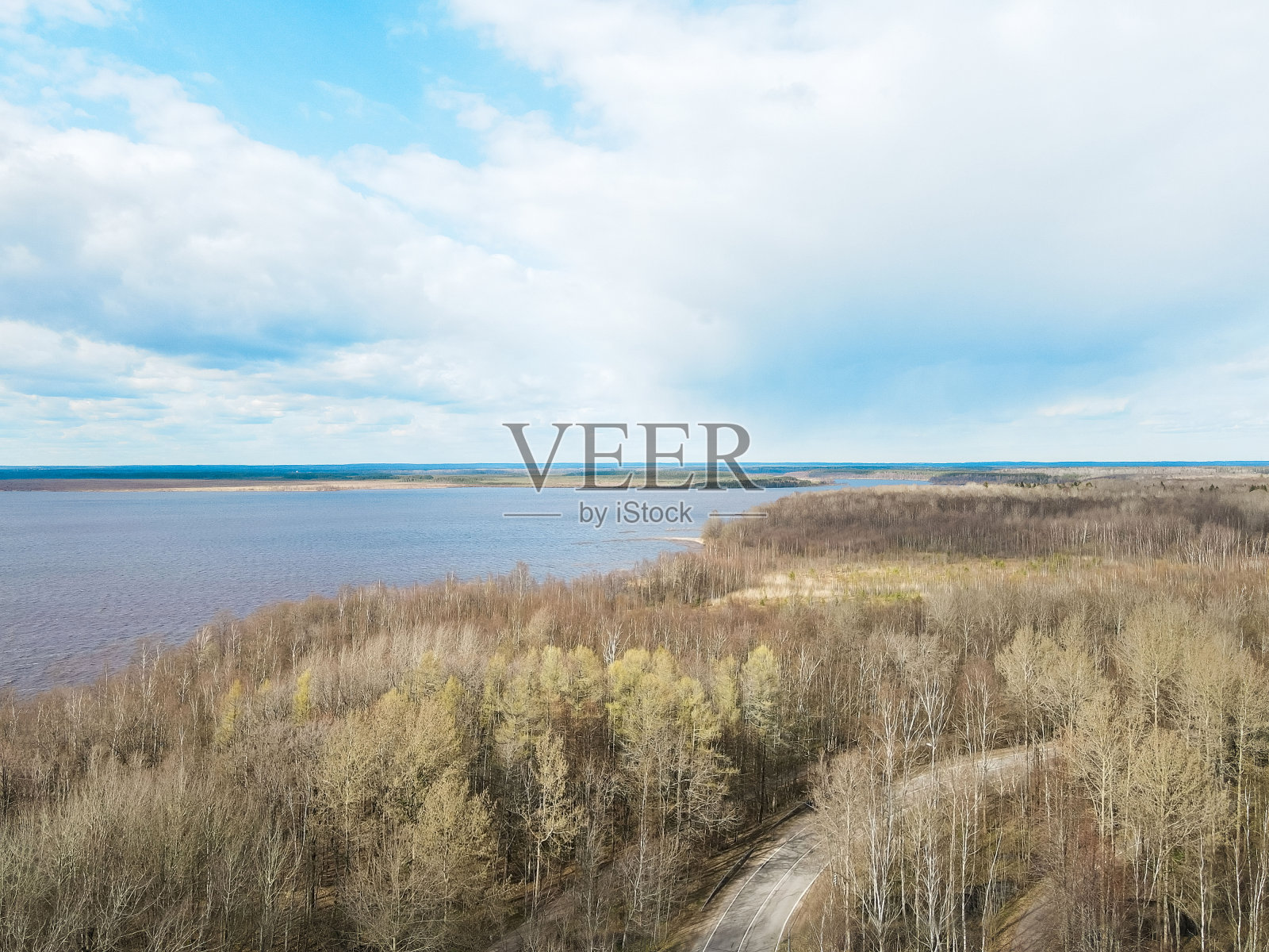 干旱炎热的天气。干燥的森林和树木旁边的湖。气候变化的影响，如沙漠化。景观航拍俯视图无人机拍摄。缺少雨的概念或横幅照片摄影图片