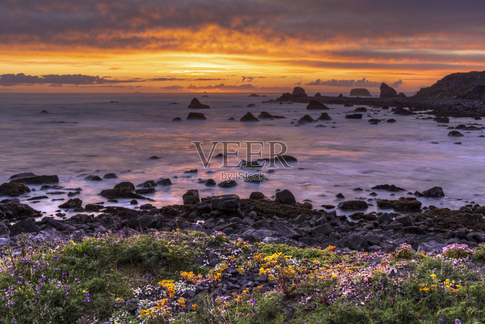 景天日落照片摄影图片
