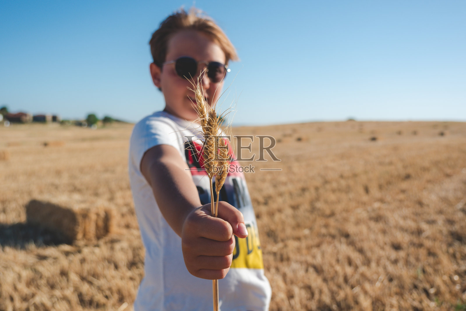 拿着麦穗的男孩照片摄影图片