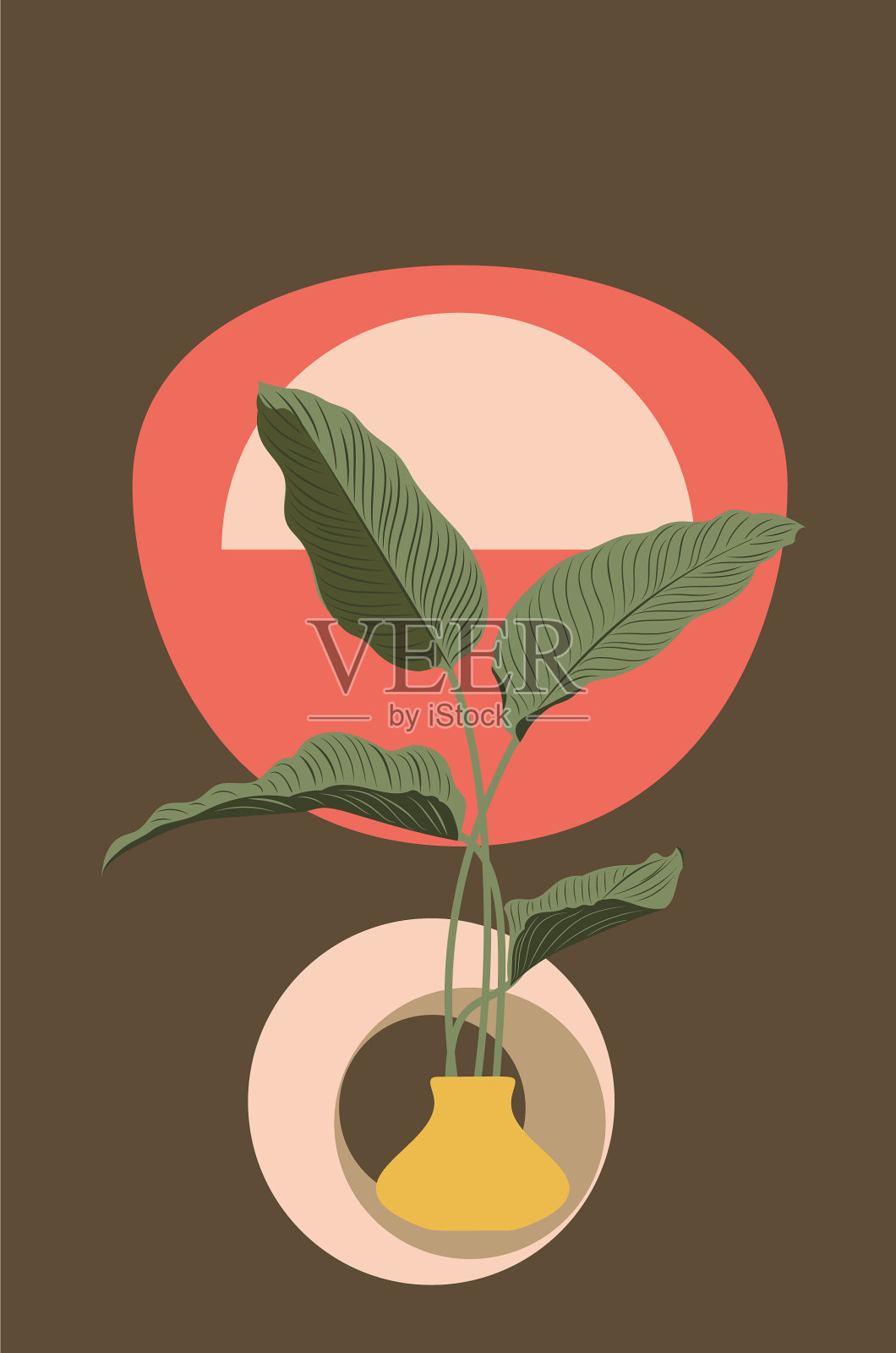 菖蒲的叶子具有抽象的形状插画图片素材