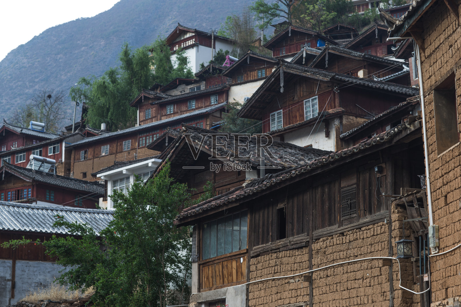 谢谢照片摄影图片