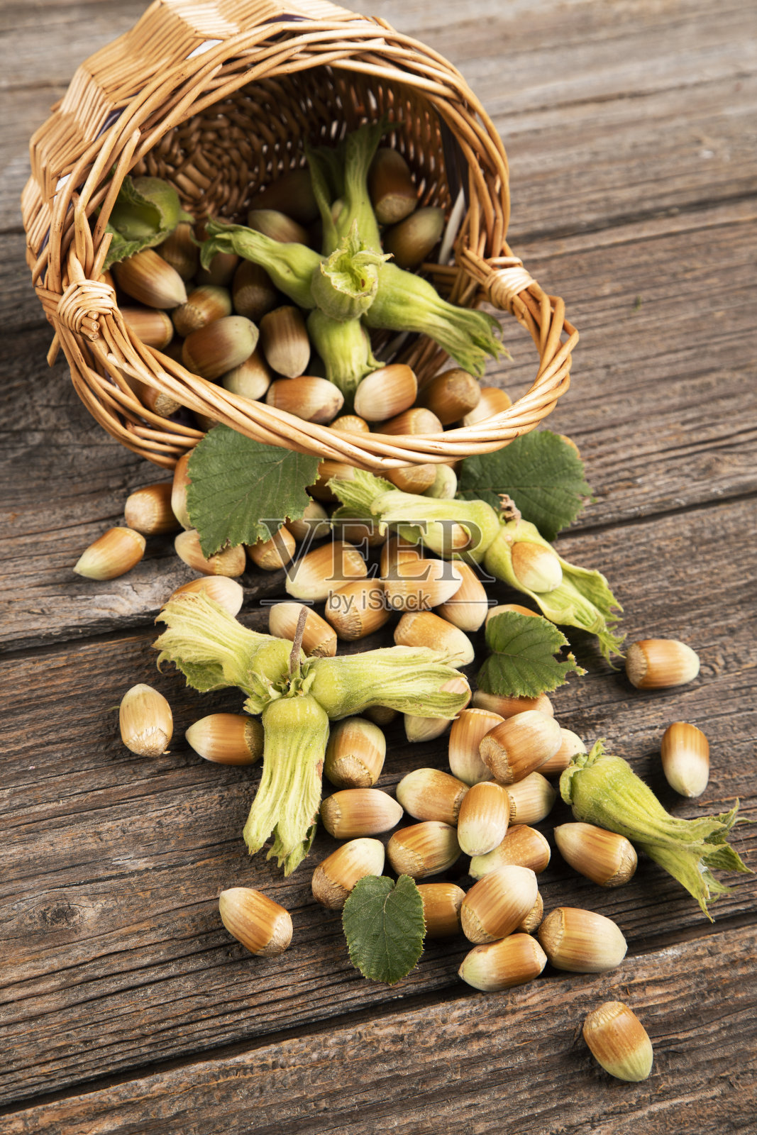 生榛子照片摄影图片