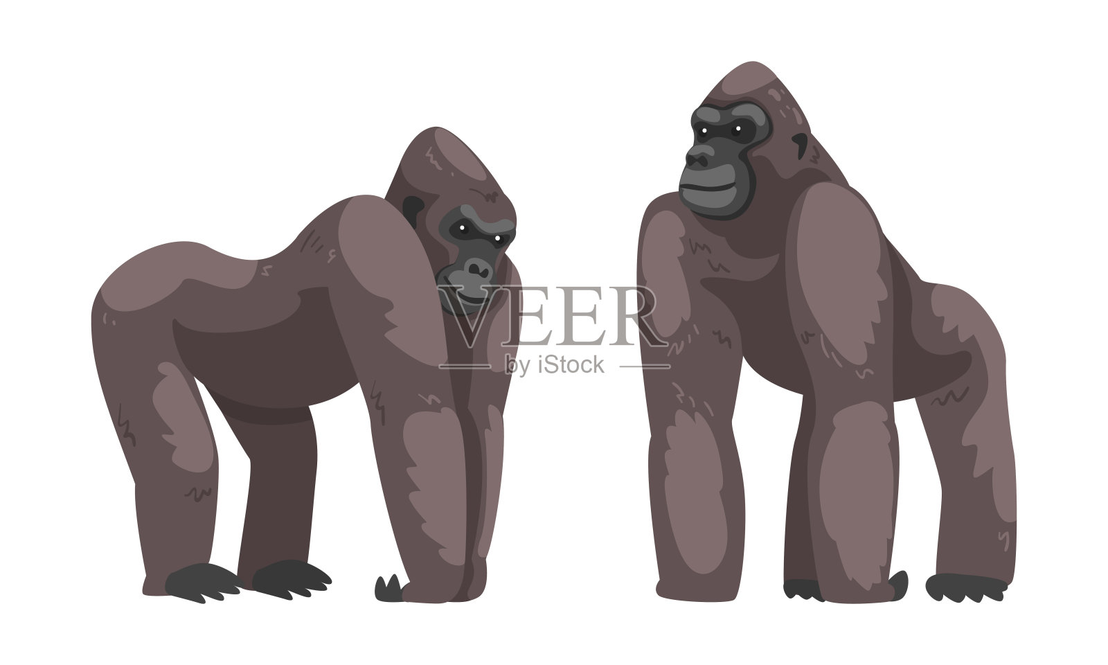大猩猩猴作为地面居住食草类人猿向量集设计元素图片