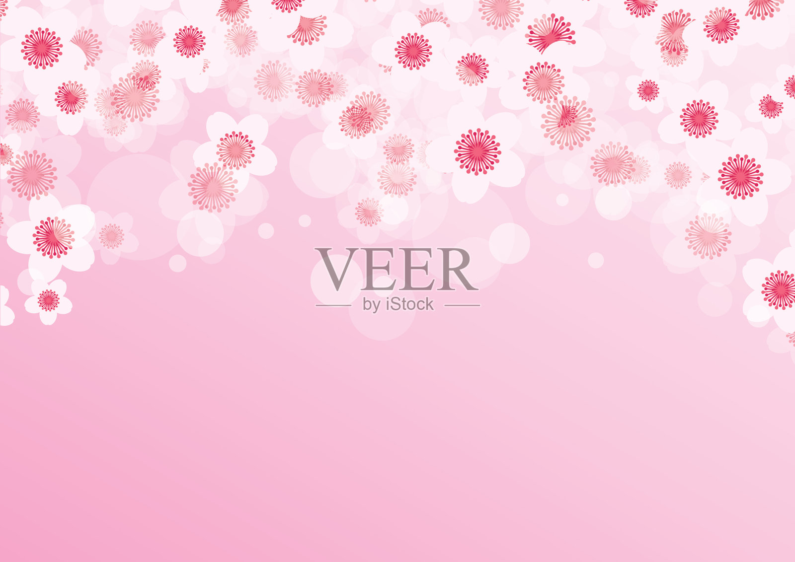 粉红色的春天背景是樱花插画图片素材